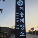 해솔 | 전곡항 가는길 베이커리 카페 해솔제빵소 내돈내산 후기