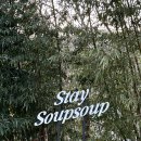 스테이숲숲 이미지