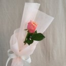 강릉송이 이미지