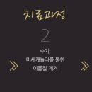 보니따의원 이미지