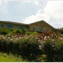 청계목장 이미지