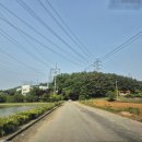 개미골프 연습장 이미지