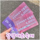 청룡마을1길 12 | 2026 광양매화마을 축제 평일 후기 개화 실시간 정보 (주차·셔틀버스·먹거리)