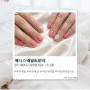 제니스네일 - 서초구 청두곶3길 22 | [파주] 야당네일 제니스네일&뷰티 솔직후기