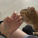 6월 모음집🧸