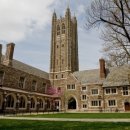 (주)아이비메디칼 이미지