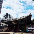 아침건강걷기를 위한 사전답사 ㆍ운동도하구.덕수궁.돌담길.정동길.경희궁.서울역사박물관,광화문 이미지