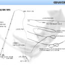 에깅 낚시 채비도입니다. 이미지