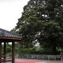 금노마을 이미지