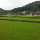 봉화여관 Daum카페