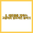 개 최고 이미지