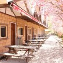 구마황토민박 이미지