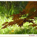 월계프라자약국 이미지