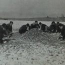 춘천고등학교 이미지