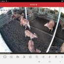 엔컴정보통신 이미지