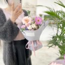 사파동315 이미지