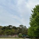 포시즌오토캠핑장 | [충남,예산]캠핑 분위기를 느낄 수 있는 포시즌오토캠핑장_스플라스 리솜 도보 5분거리 🏕️✨