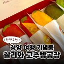청양고추문화마을 | 청양고추빵 후기 비주얼부터 맛까지 다 잡은 여행 기념품 특산물