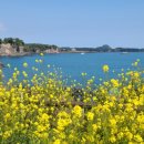 연송갈치요리 이미지