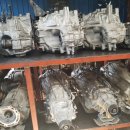 정인호오토 이미지