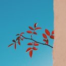 해운대나눔과행복병원 이미지