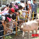 제철 초등학교 이미지