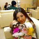 미나애견 이미지