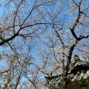 수봉양궁장 이미지