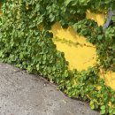 호돌이카랜드 이미지