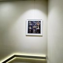 츄츄 동물병원 이미지