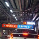 오토오아시스오일월드 이미지