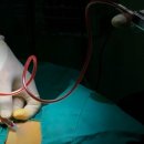 미라셀주식회사 이미지