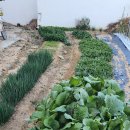 에코탑공인중개사사무소 이미지