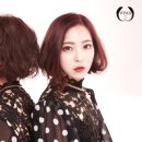 윙스(wings)