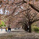 각원사길 이미지