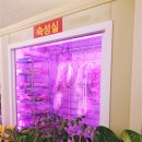 오학정육점 - 5456 | 오학정육점