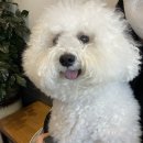 동물에반하다동물병원 이미지