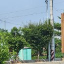 한일식당 이미지