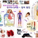 암을 예방하고 치료하는 근본 원리 이미지