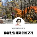 지난주 흔적(중미산~설매재~어비계곡) 이미지