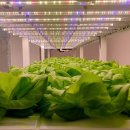 스마트팜 이미지