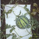 수박 당구장 이미지