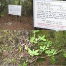 남해종주 완주(셋째날) - 앵강고개 ~ 대기봉, 쉼터의자(2009.4.24) 이미지