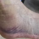 세흥병원 이미지