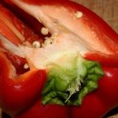 소소농장 이미지