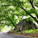 평광농장 이미지