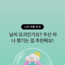 오*교