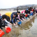 산청 은어치어방류 소식 알림 이미지