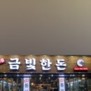 금빛한돈 이미지