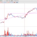 에스티모터스 이미지